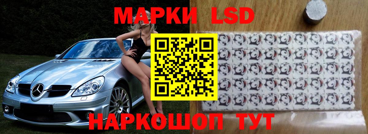 Псилоцибиновые грибы Троицк