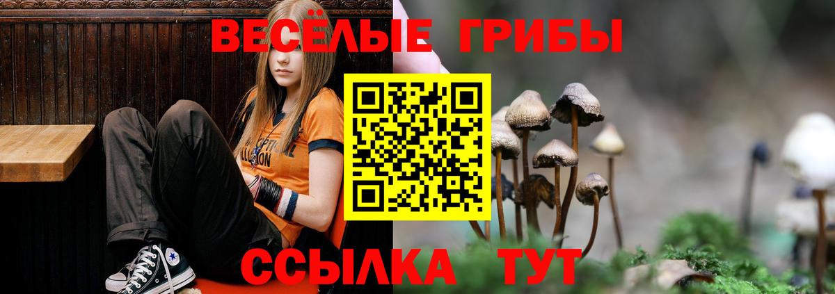 Галлюциногенные грибы Magic Shrooms  Вход с VPN  Псилоцибиновые грибы GOLDEN TEACHER  Троицк 